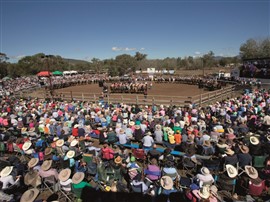 Man From Snowy River Festival